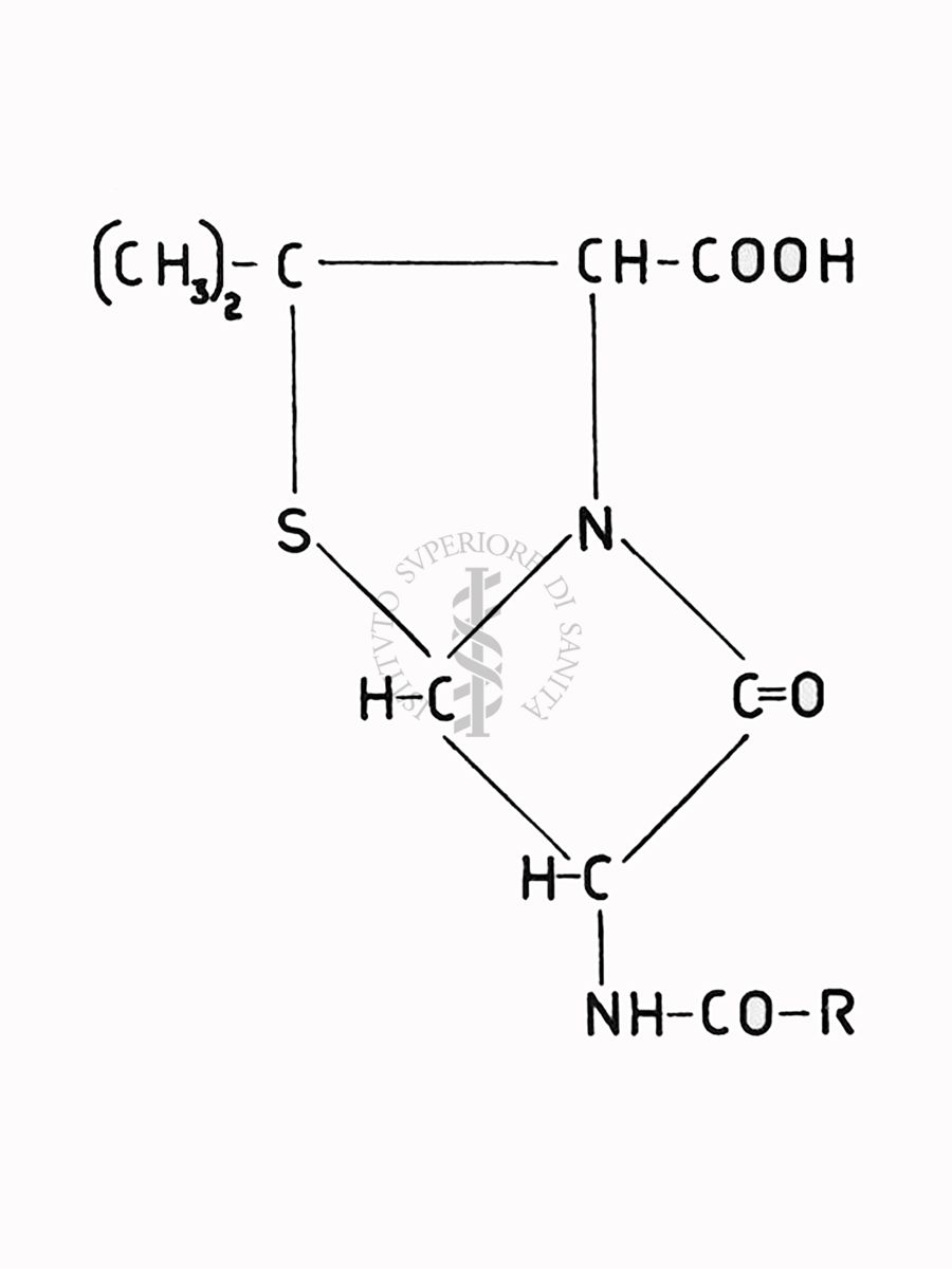 Fermentazioni  di Penicillina - Riproduzione da disegno