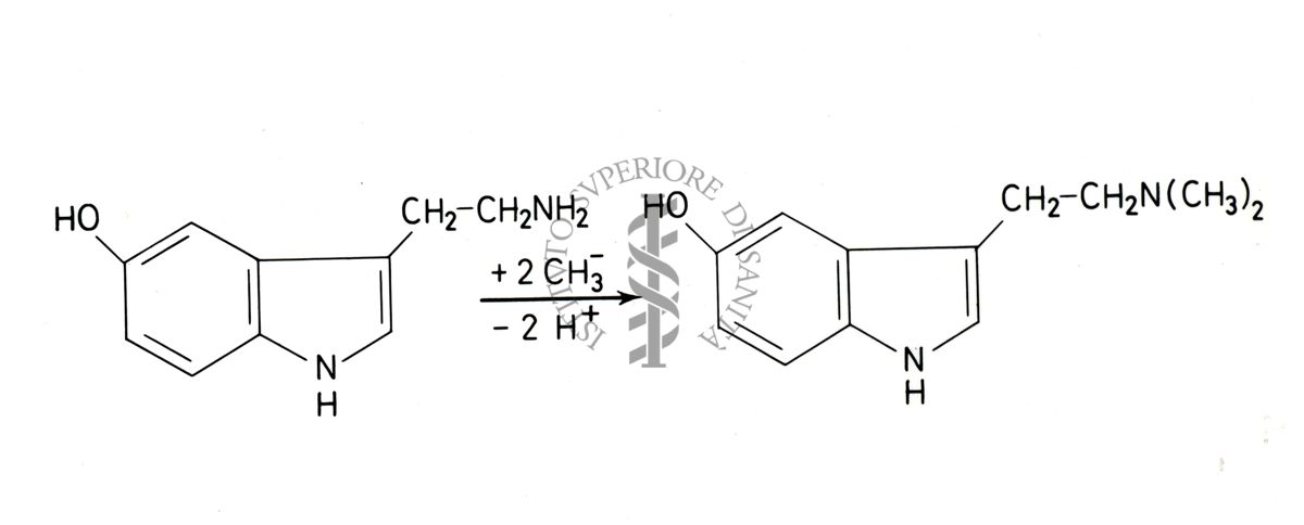 Rappresentazione di formule chimiche