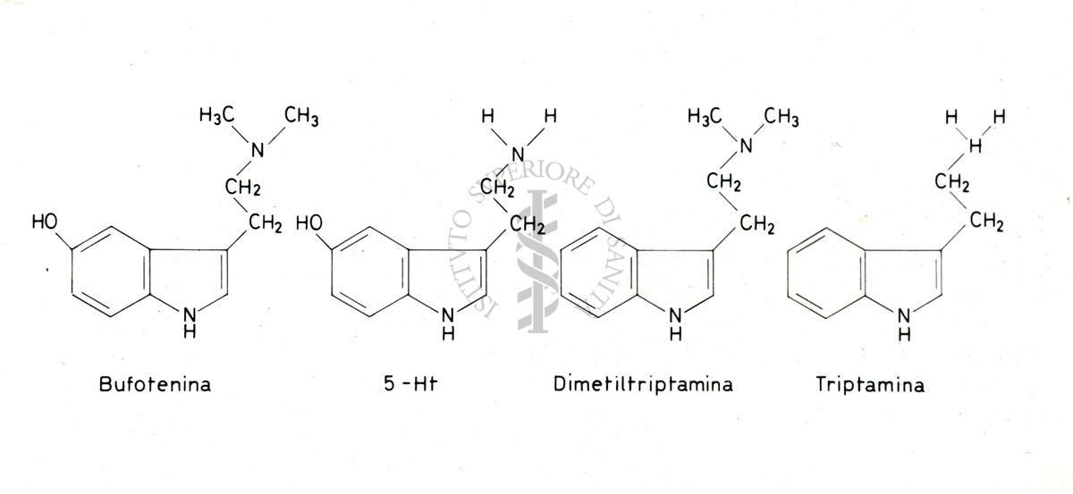 Rappresentazione di formule chimiche