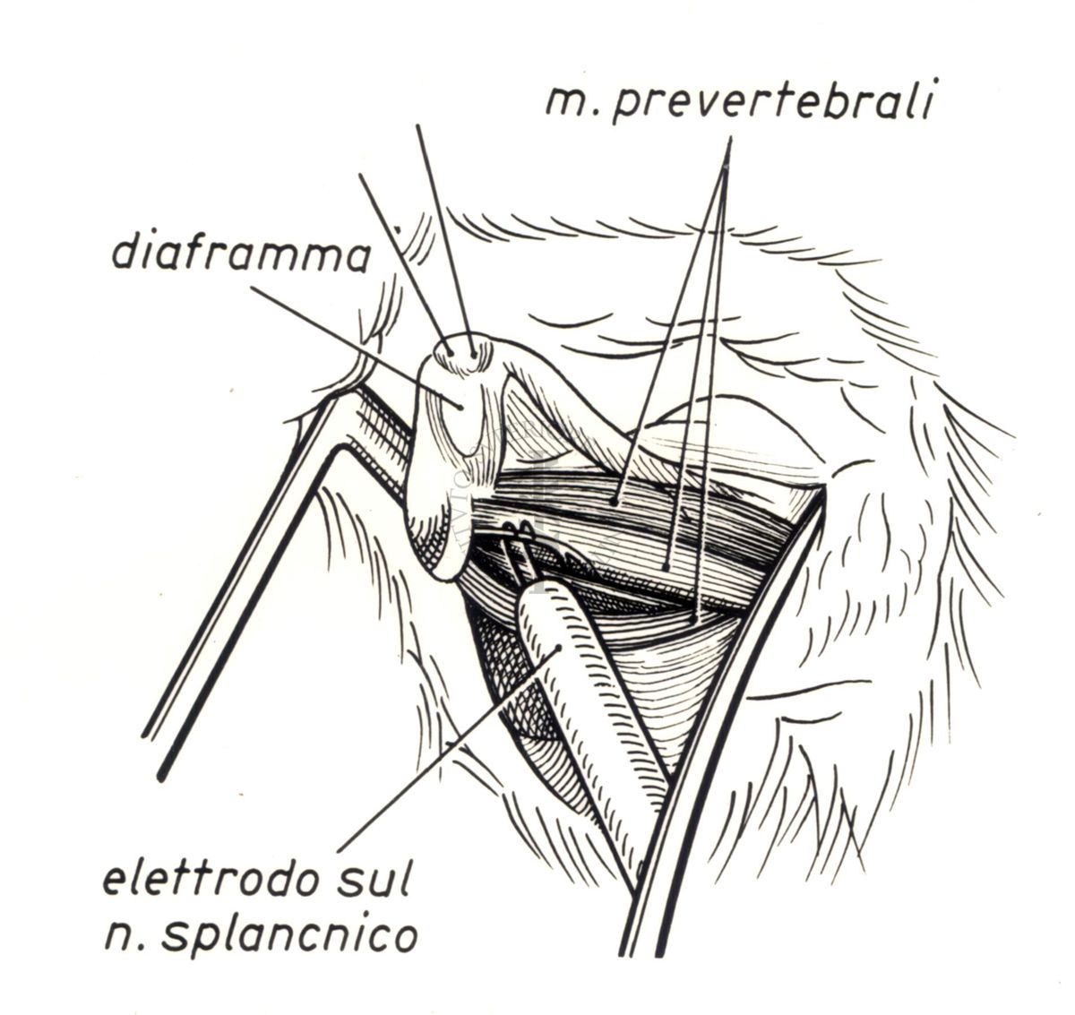 Senza titolo