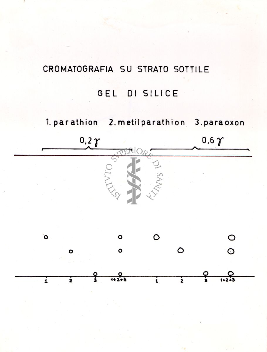 Nella foto Cromatografia