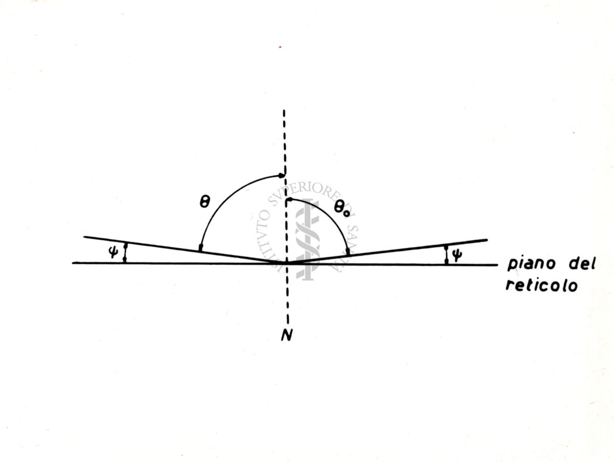 Nella foto Disegno