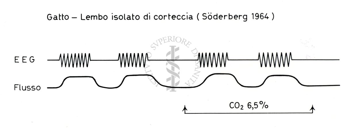 Senza titolo