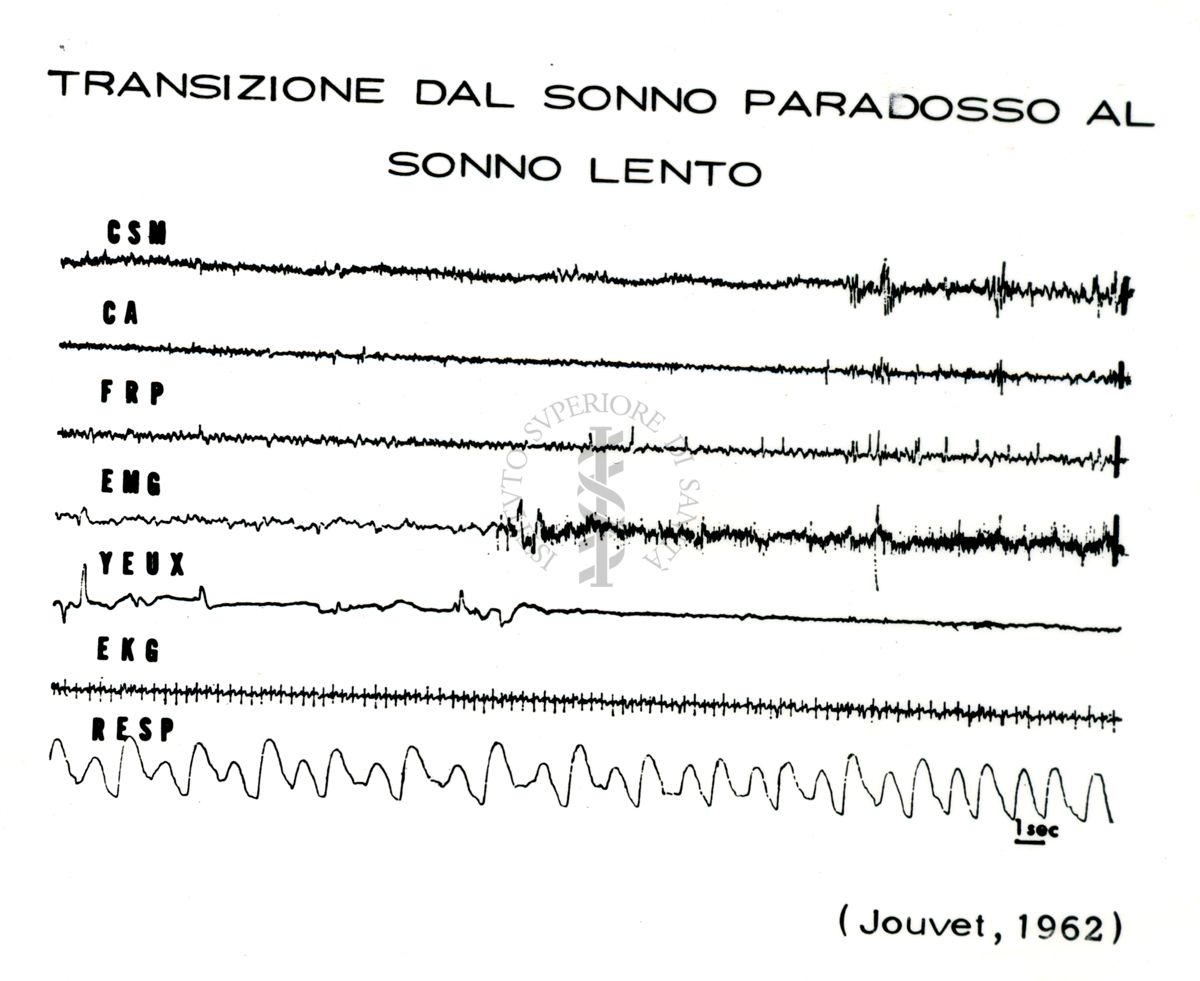 Senza titolo