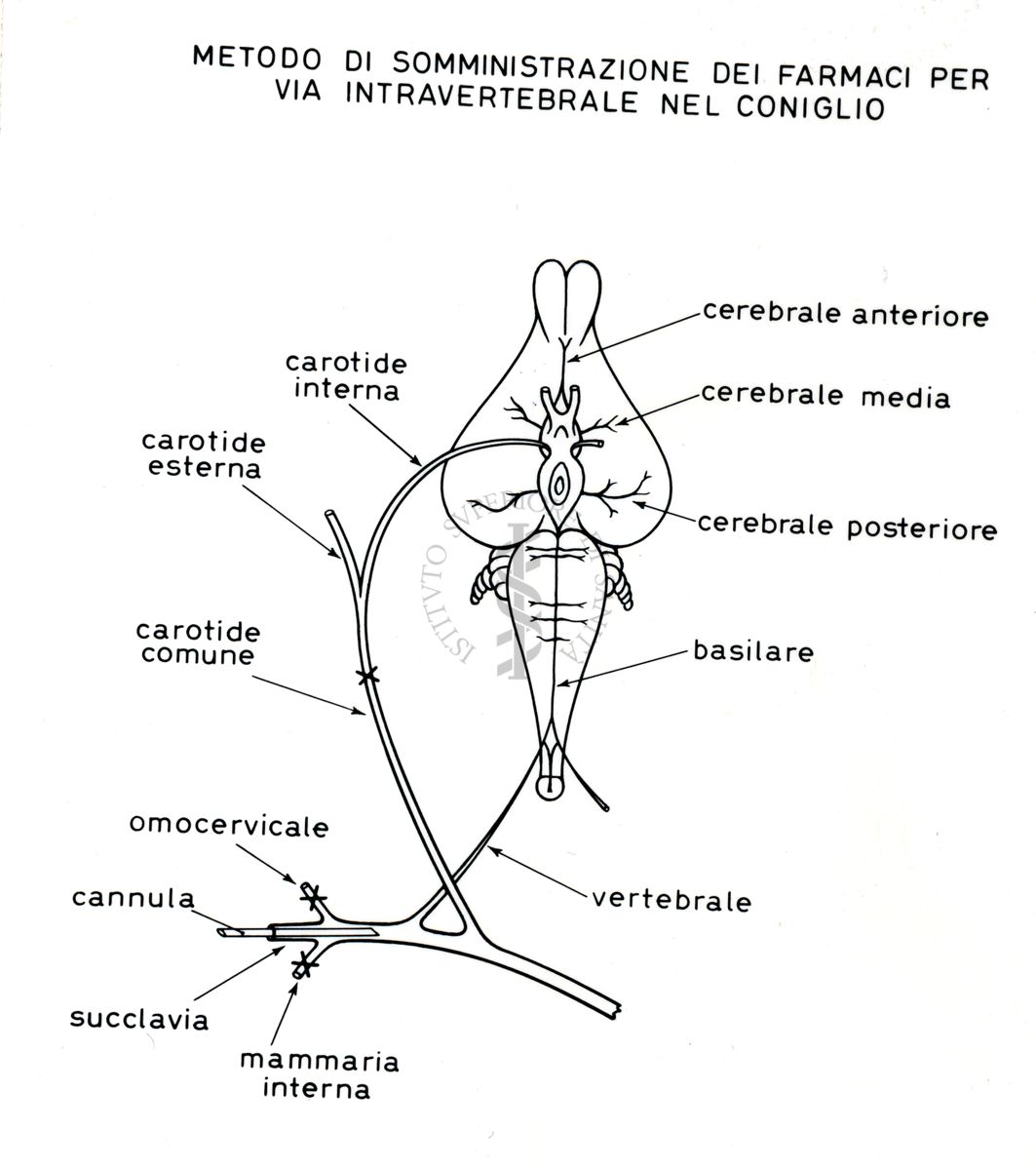 Senza titolo