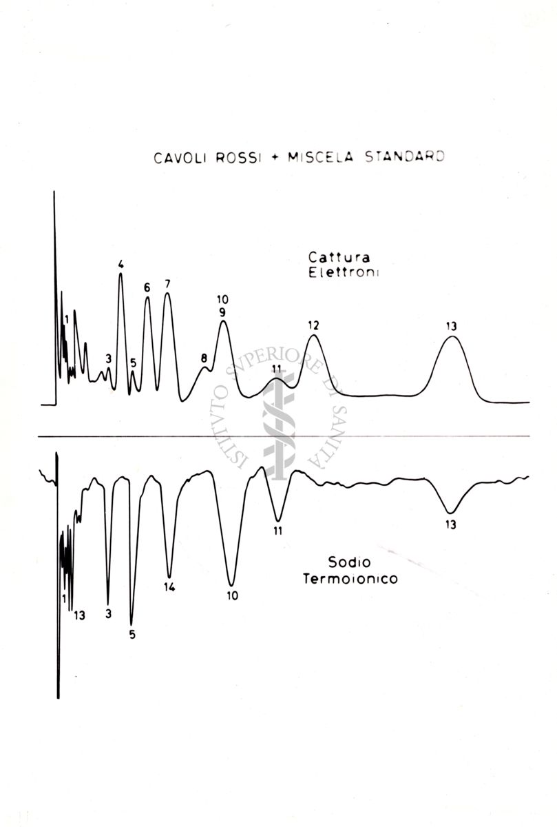 Nella foto grafico