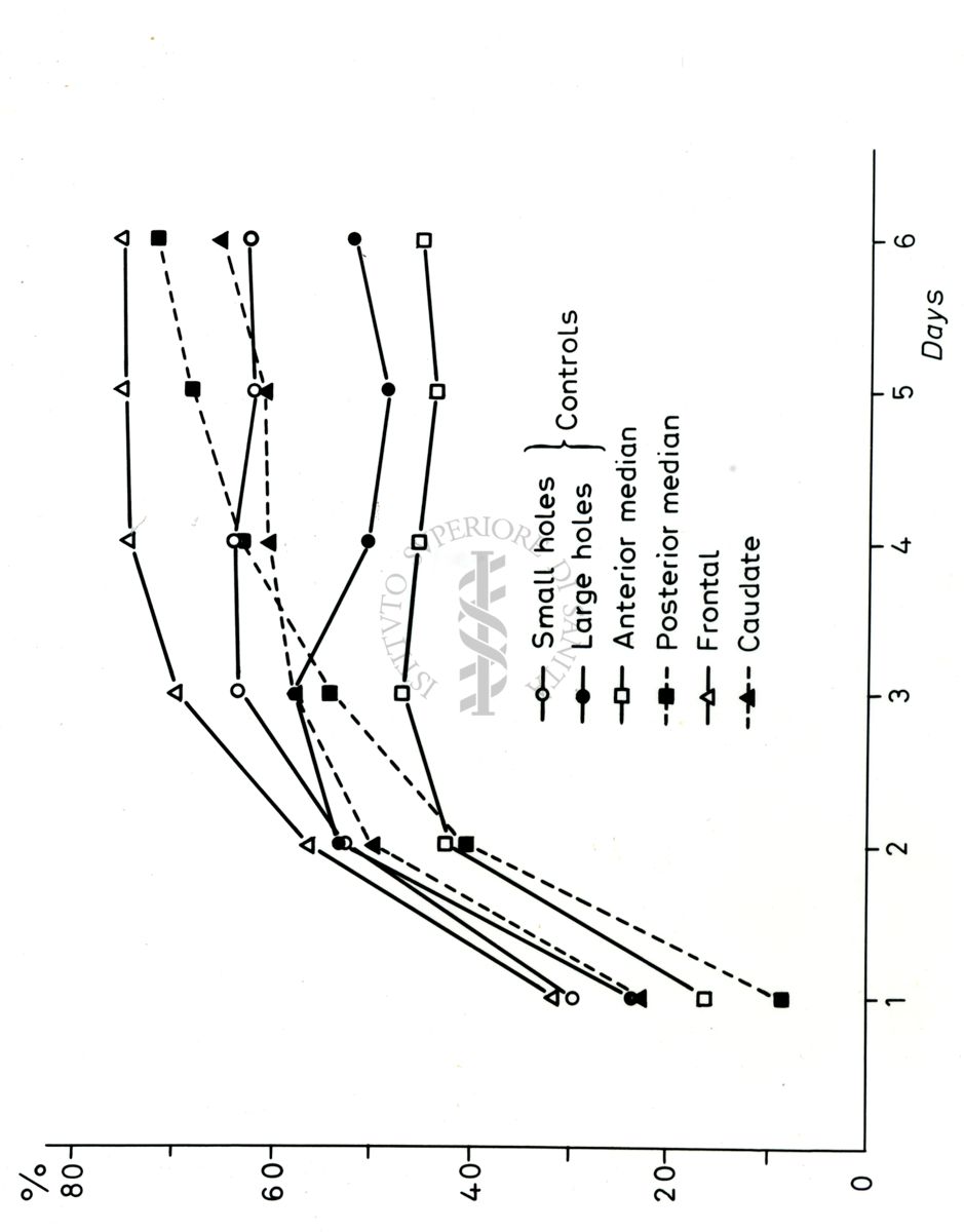 Grafici