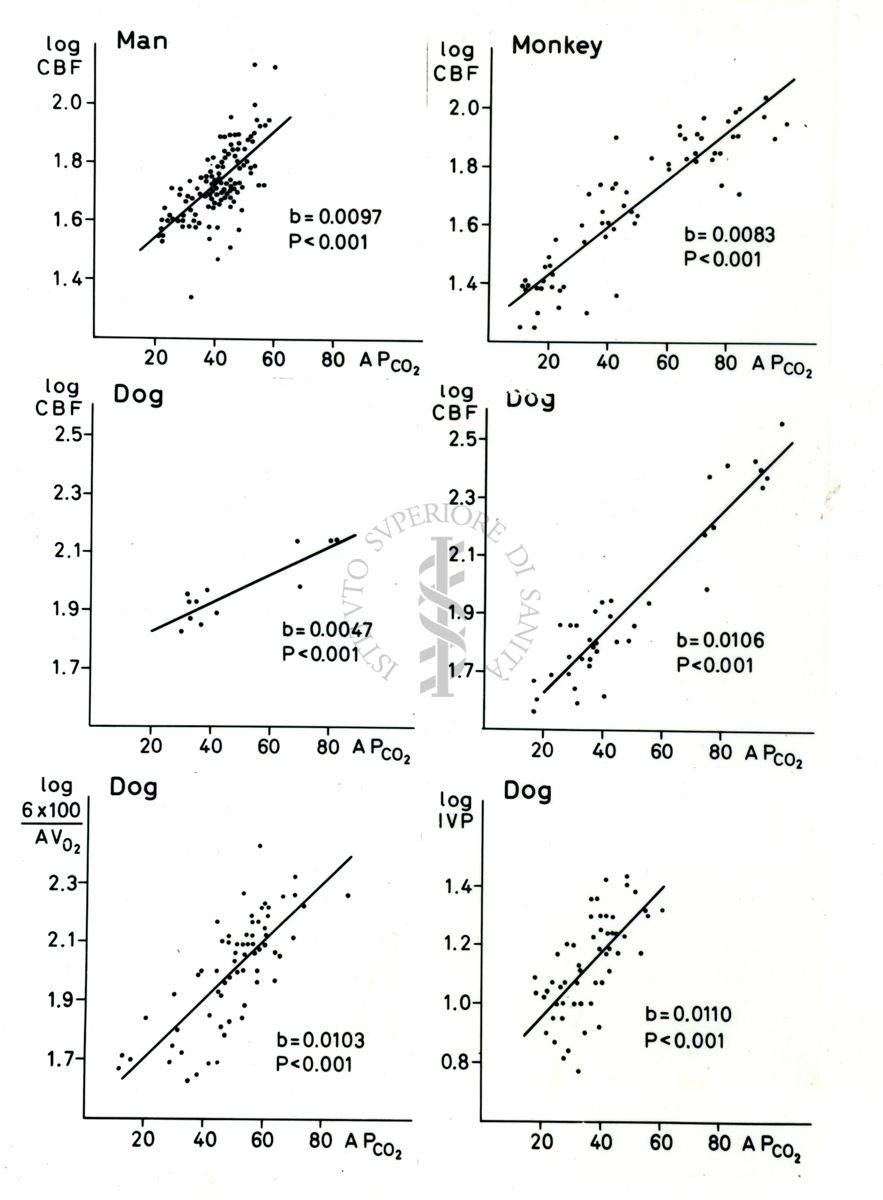 Grafici