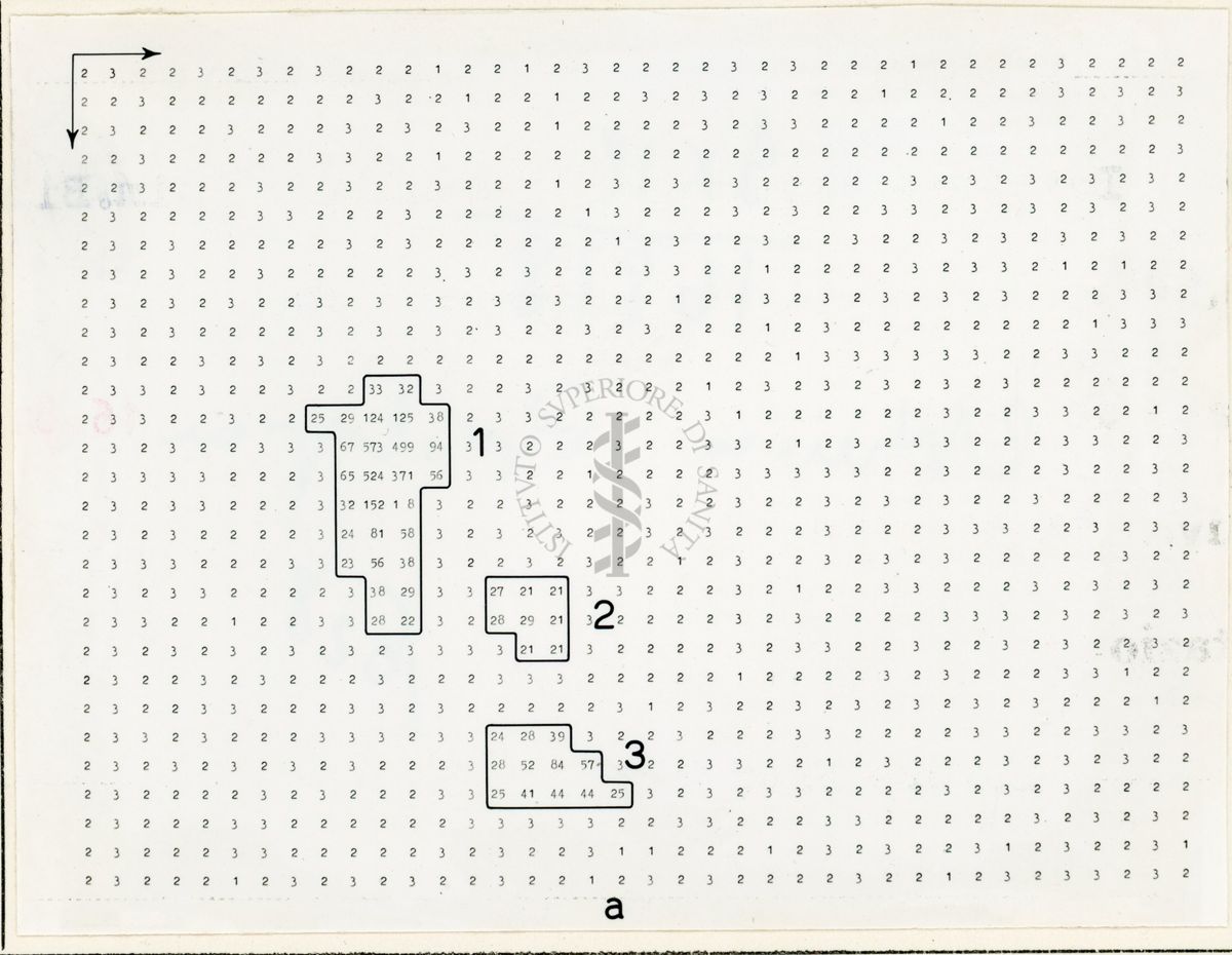 Mappe numeriche di radiocromatogrammi