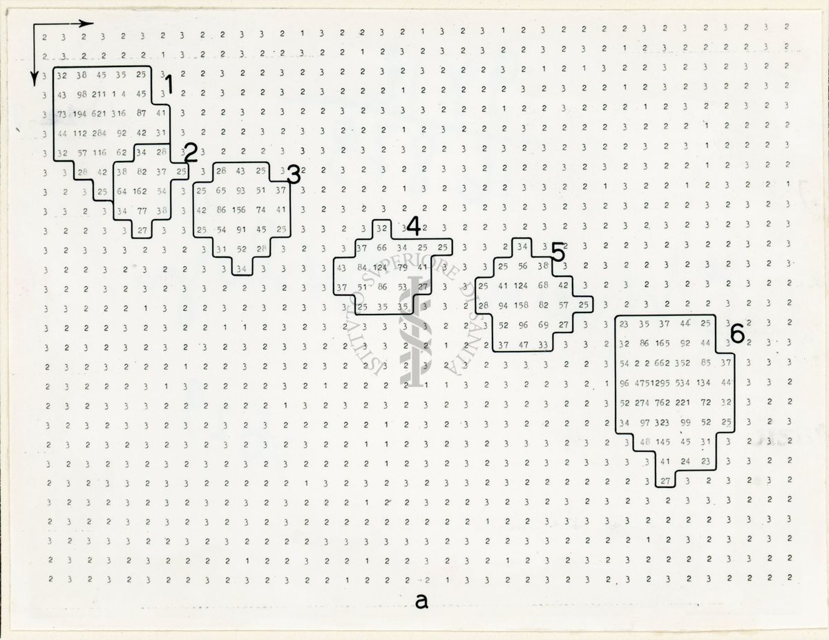 Mappe numeriche di radiocromatogrammi