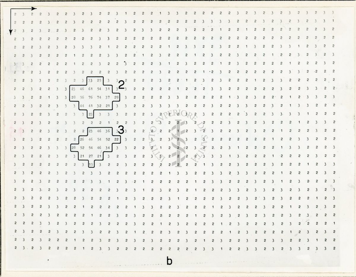 Mappe numeriche di radiocromatogrammi