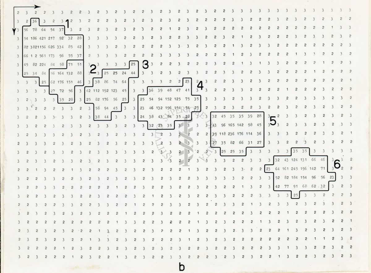 Mappe numeriche di radiocromatogrammi