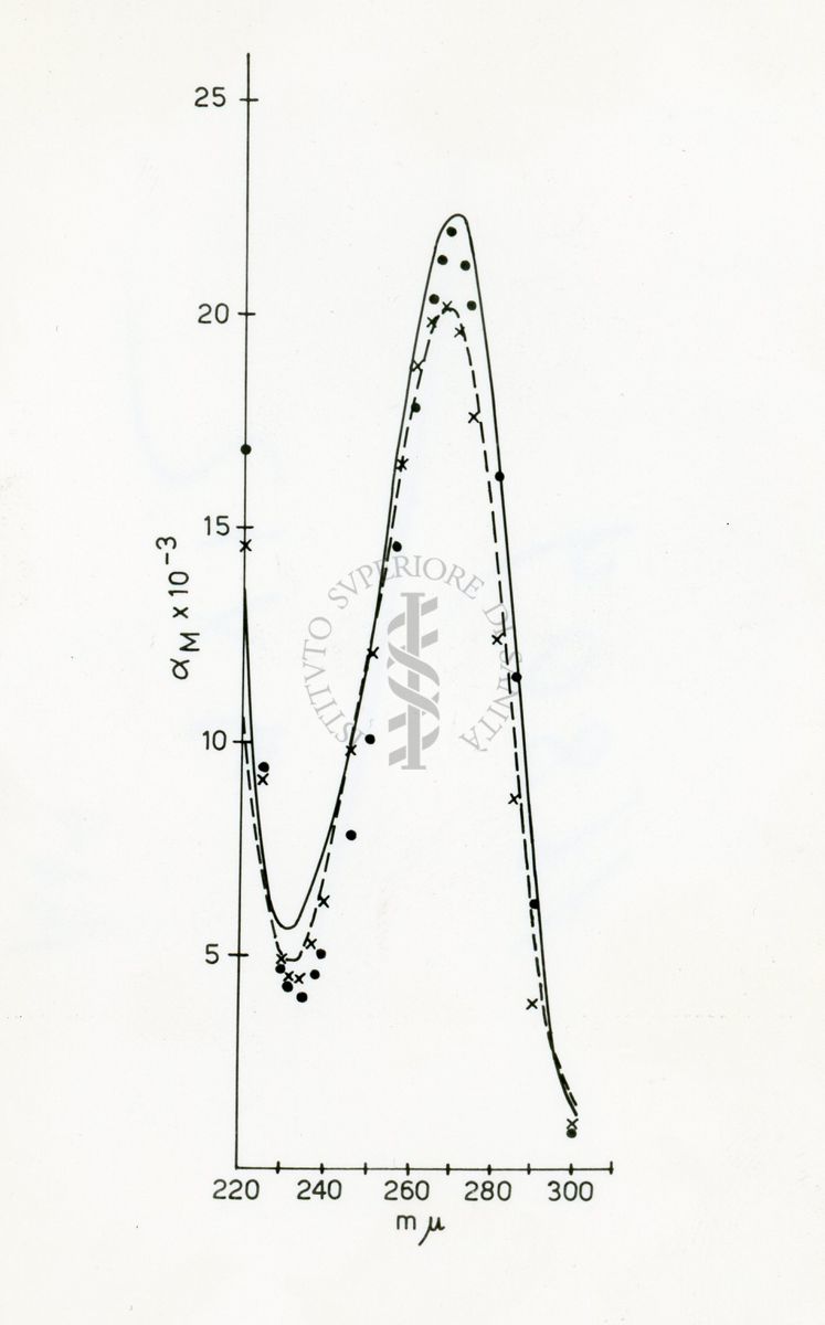 Foto da disegno di grafico