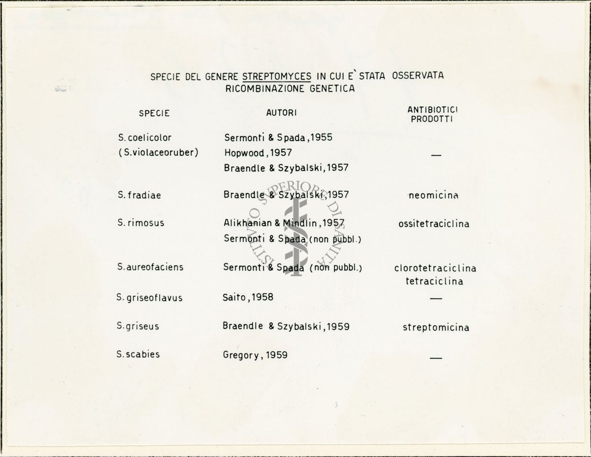 Genetica dello Streptomyces - tabella