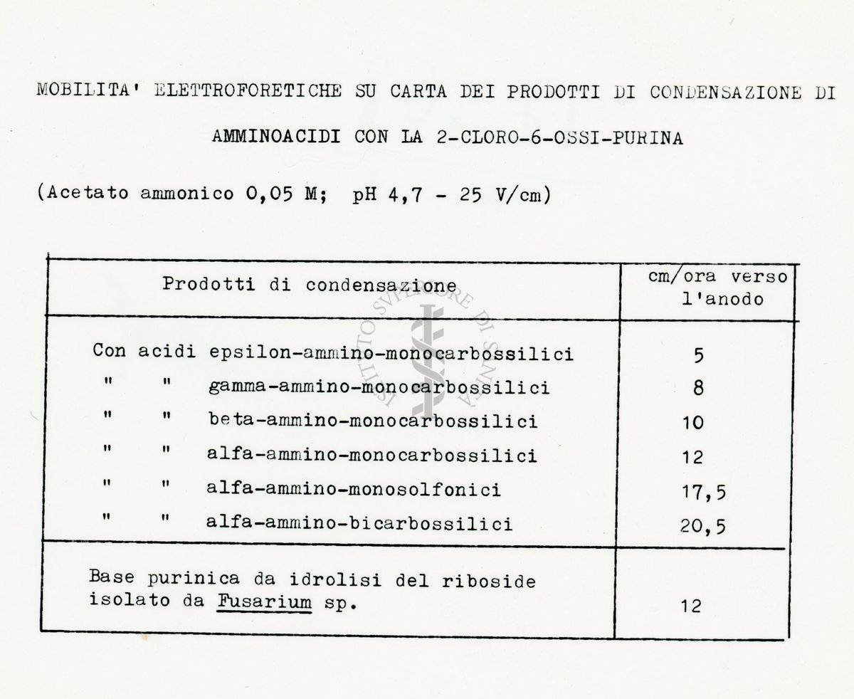 Da dattilografia Mobilità cromatografiche su carta dei prodotti di condensazione di Amminoacidi con la 2 - Cloro - 6 - Ossipurina