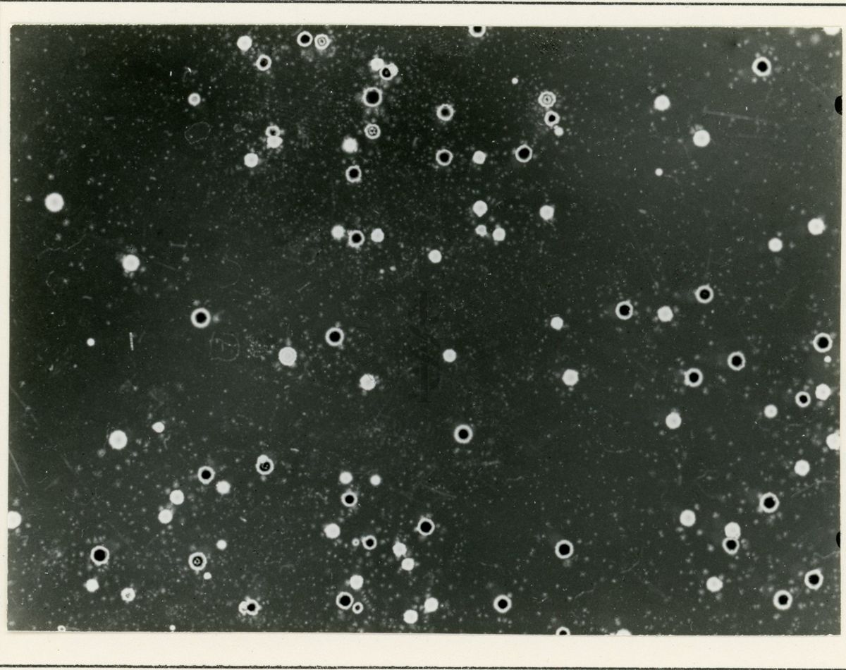 Ricombinazione in Streptomyces