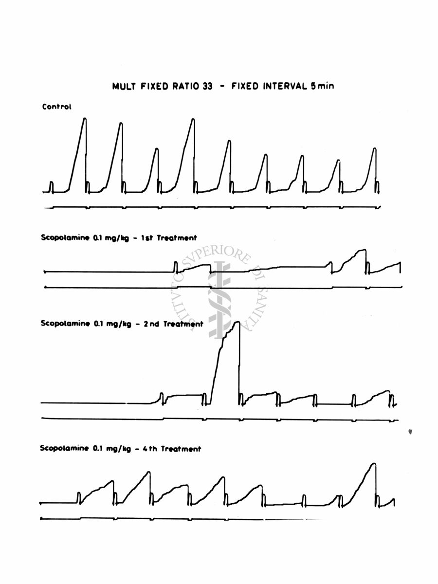 Grafici