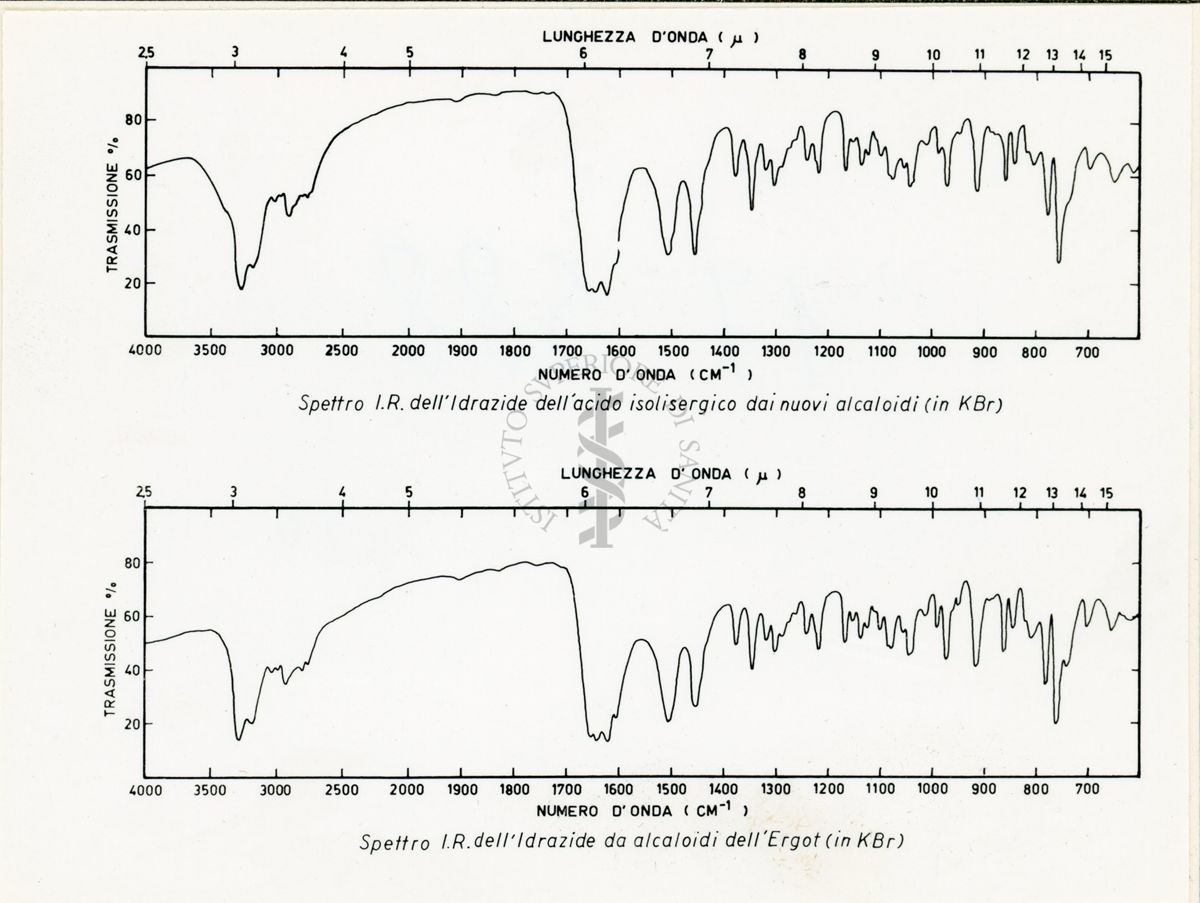 Spettro I.R. dell' idrazione dell'acido sigergico