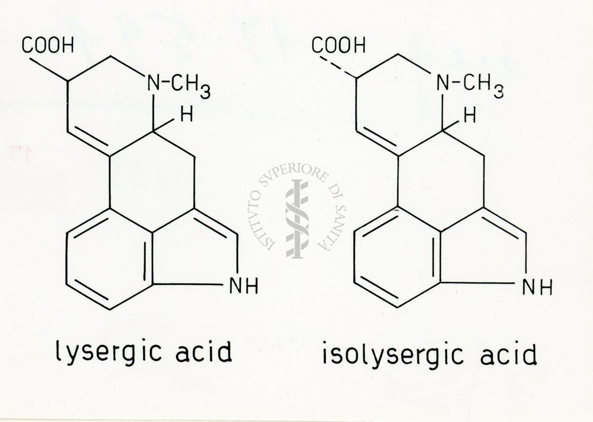 Acido lisergico ed acido isolisergico