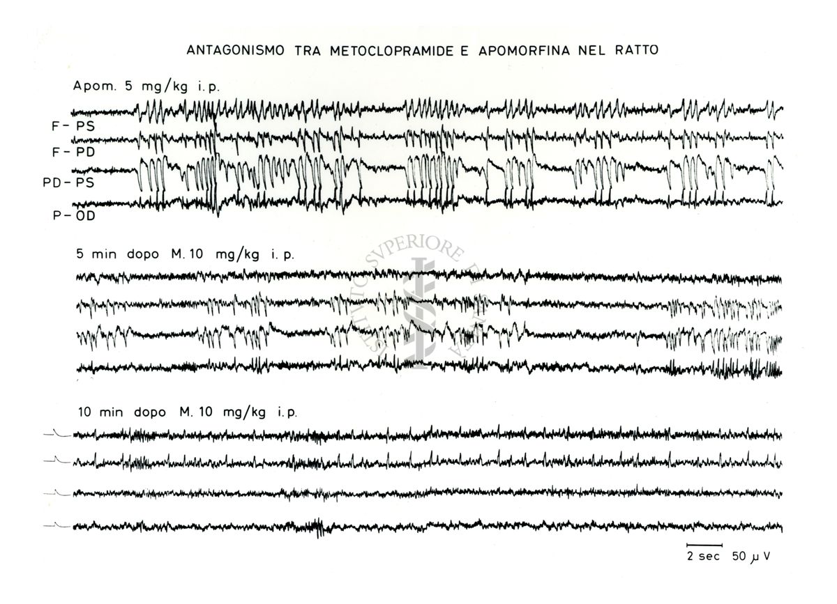 Grafico