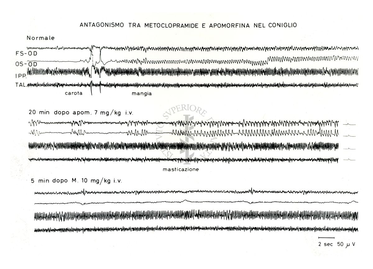 Grafico