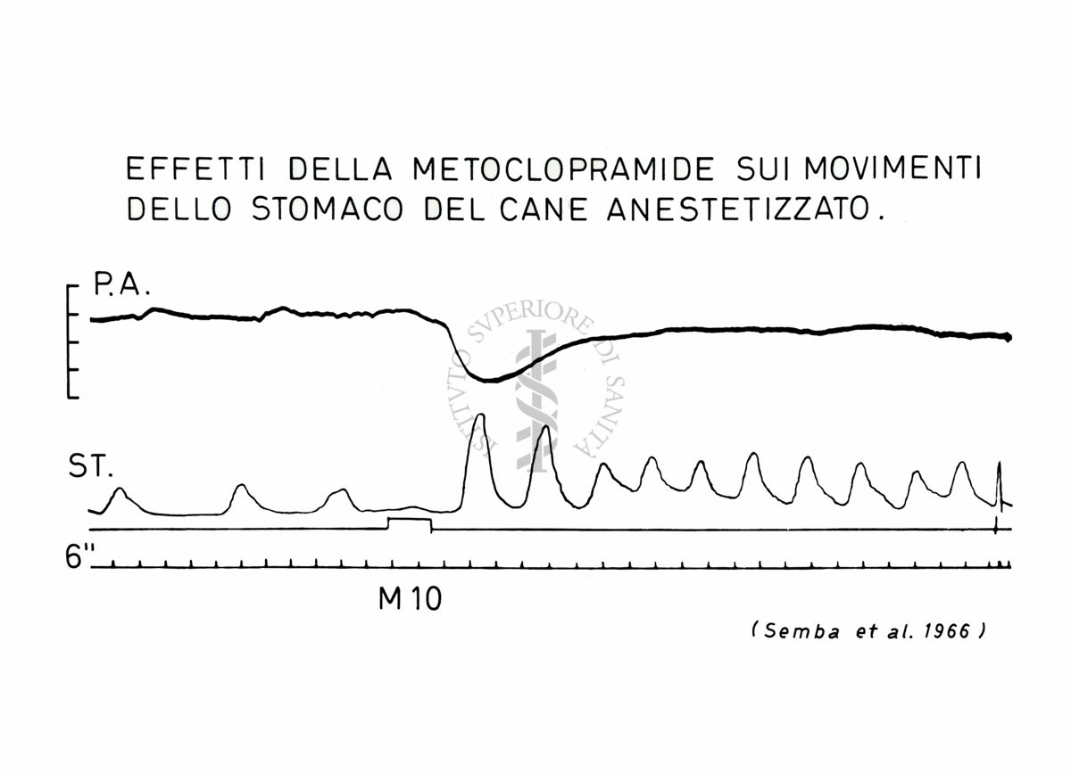 Grafico