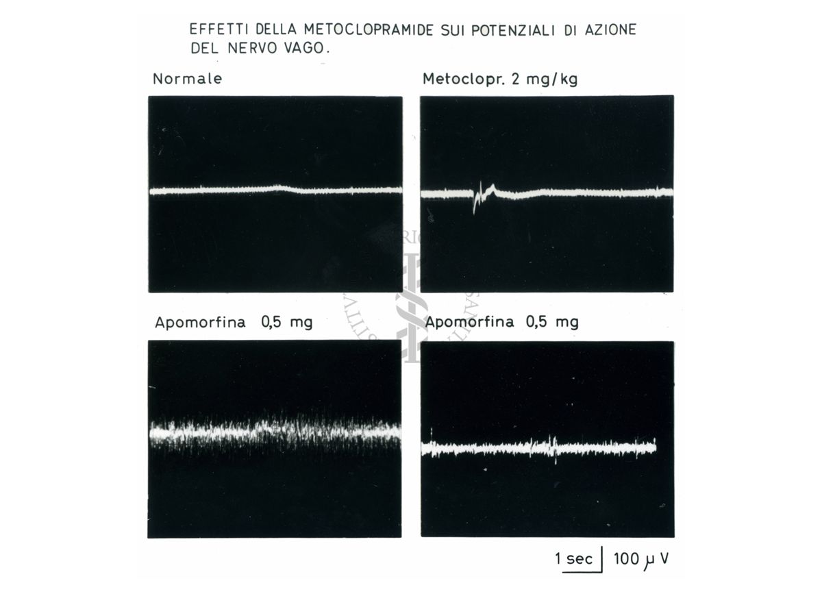 Grafico