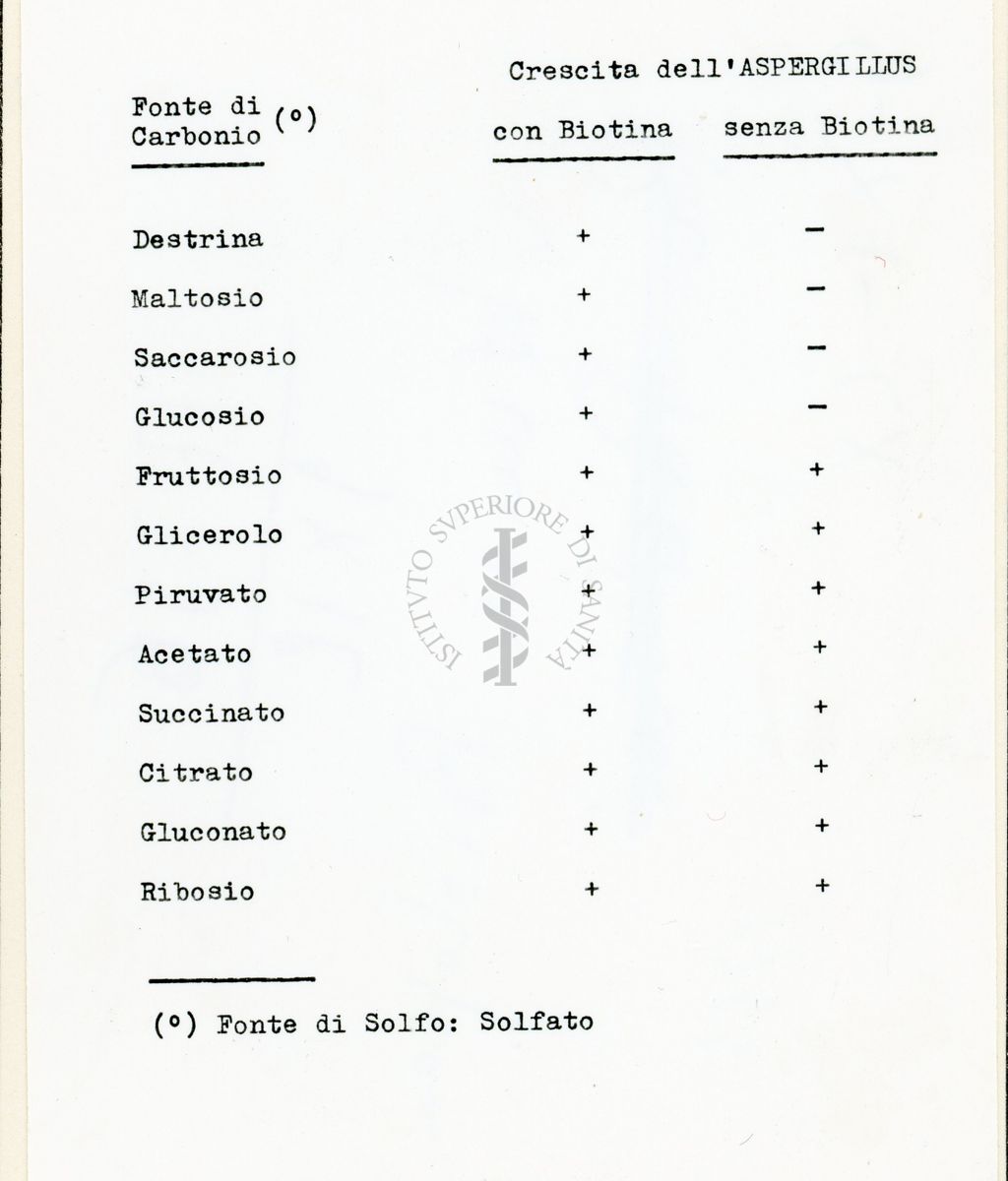 Richiesta di biotina in Streptomyces