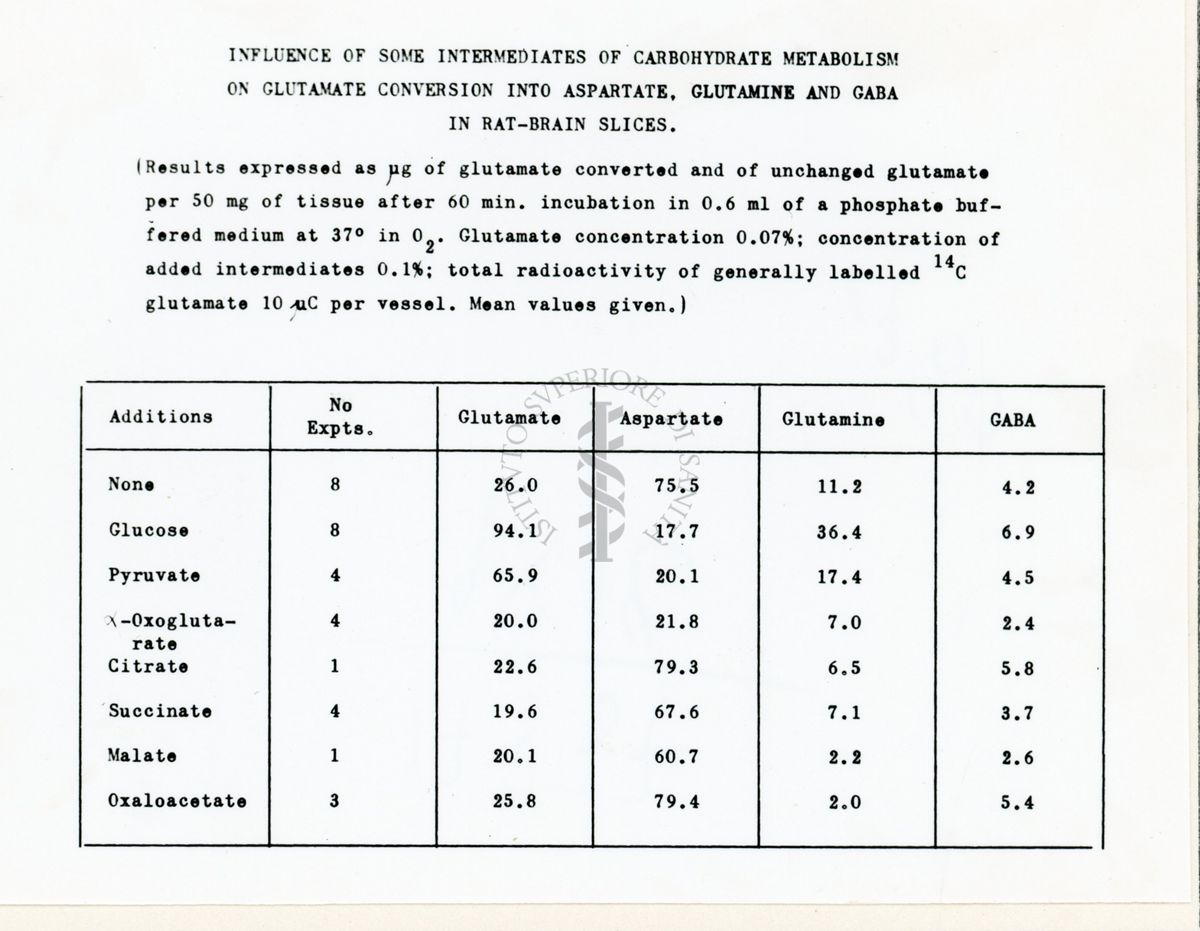 Metabolismo degli ammine acidi in fettine di cervello di ratto