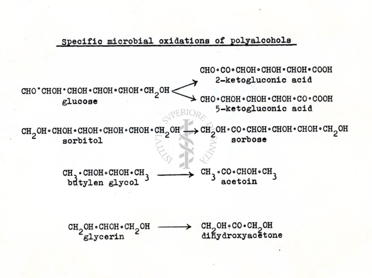 Da copia dattilografica Ossidazioni microbiche di alcoli polivalenti