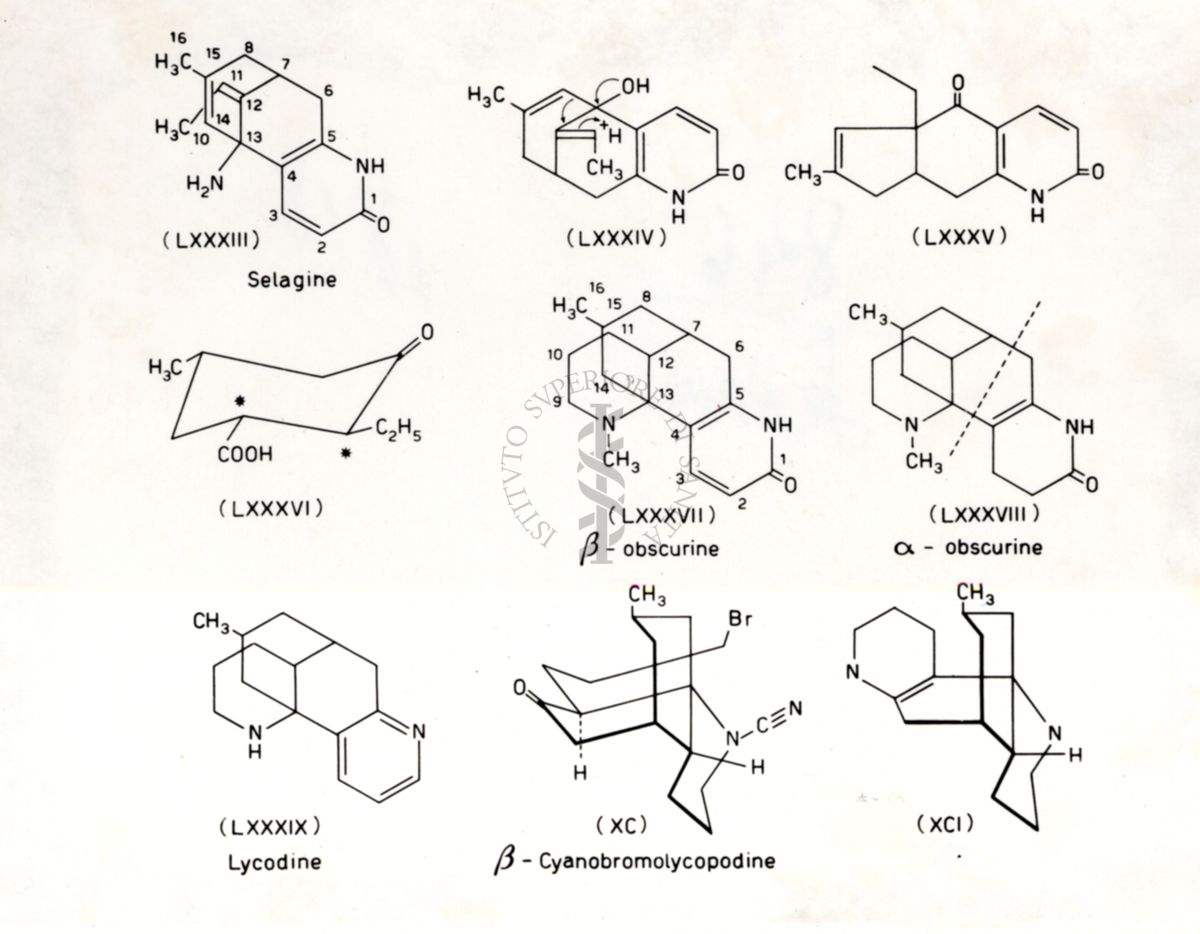 Alcaloidi Lycopodim