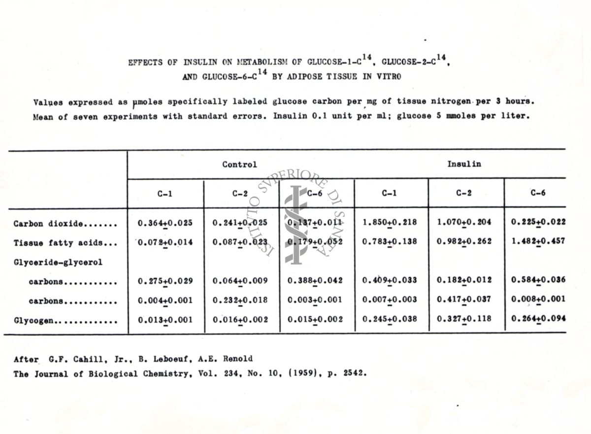 Modo di azione dell'Insulina