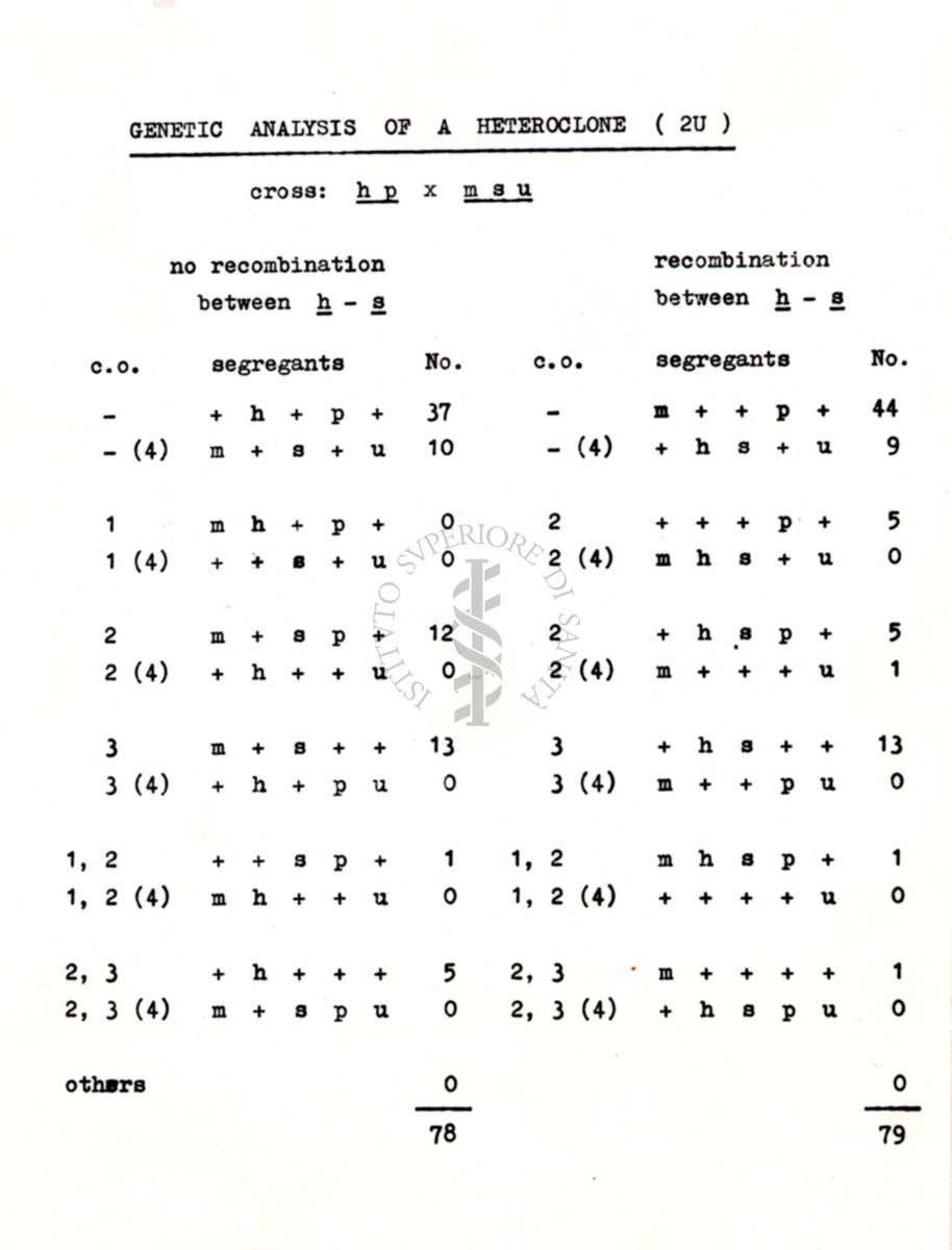 Da disegno Ricombinazione genetica in Streptomyces