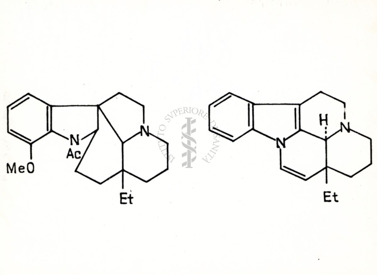 Riproduzione