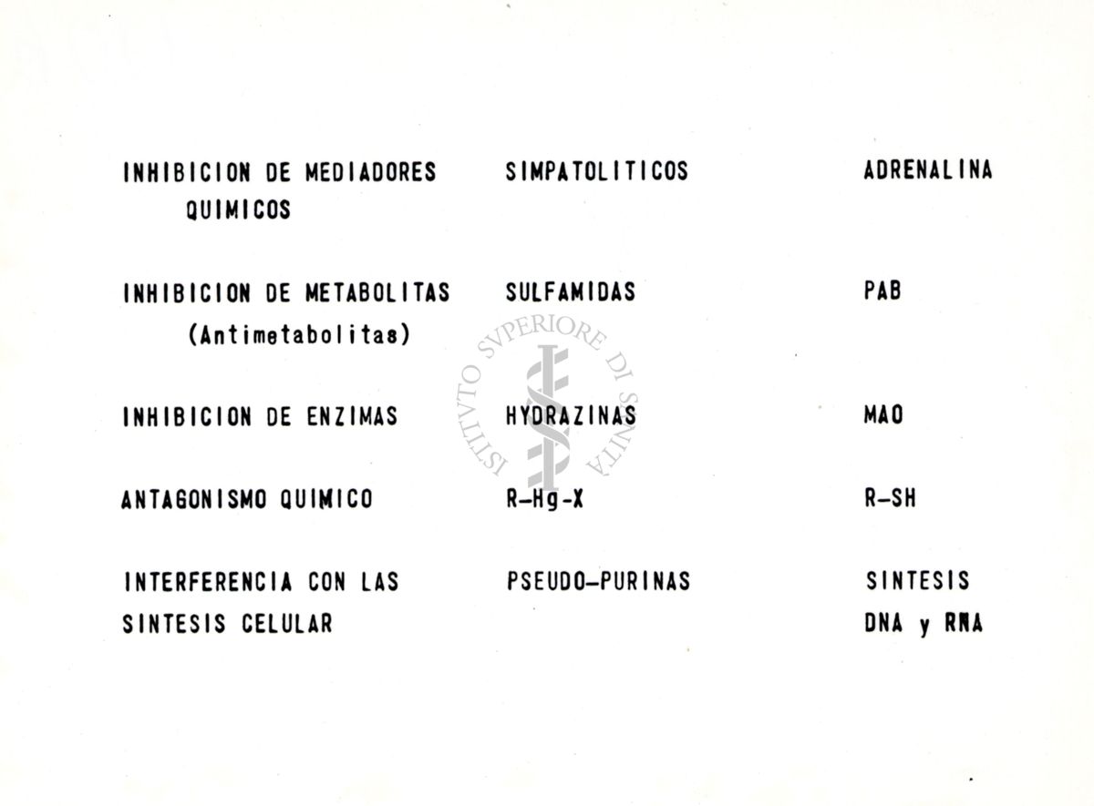 Riproduzione