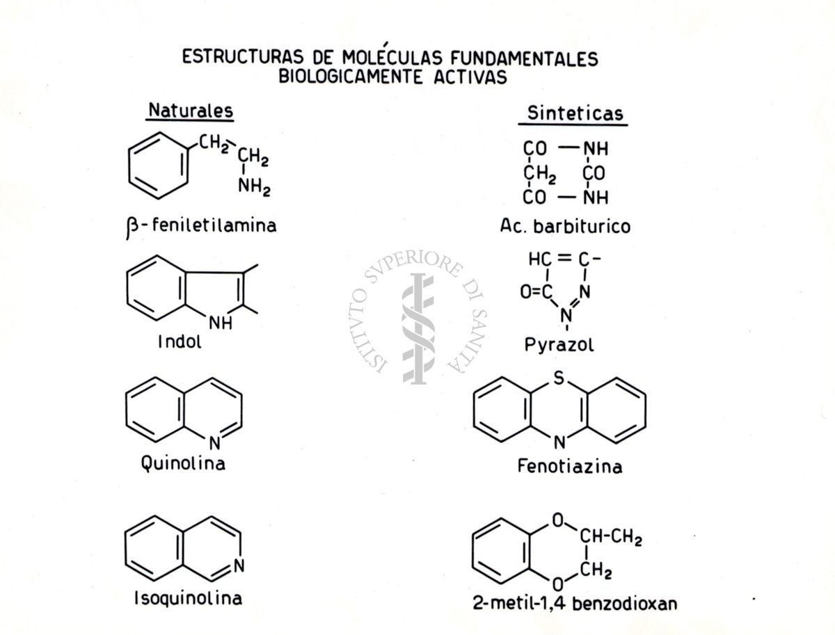 Riproduzione