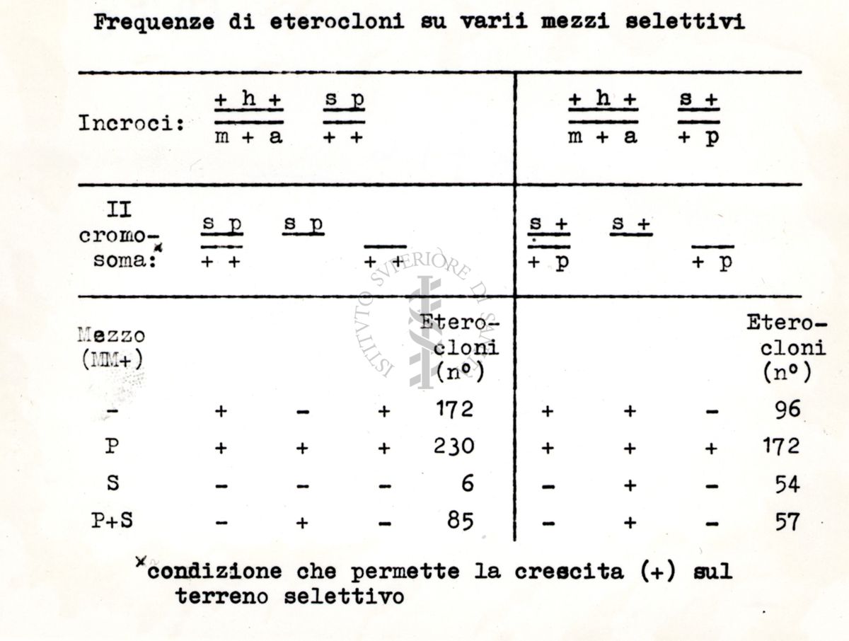 Azione del P32 sull'Aspergillus