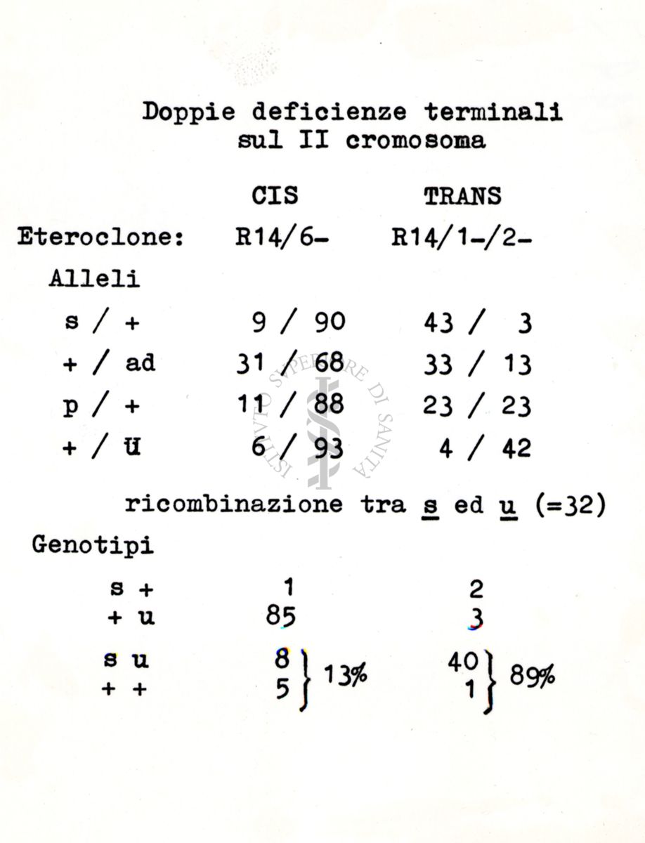 Azione del P32 sull'Aspergillus