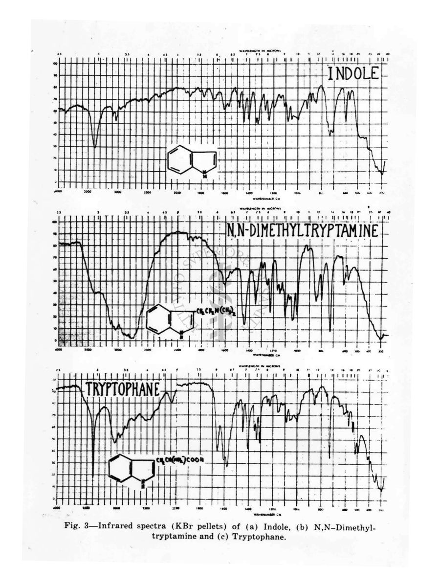 Grafici