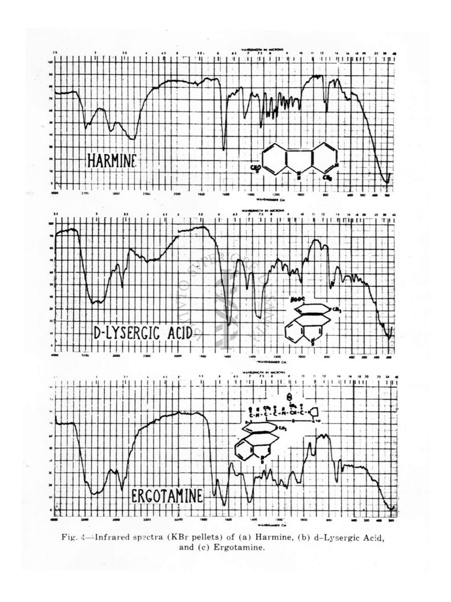 Grafici