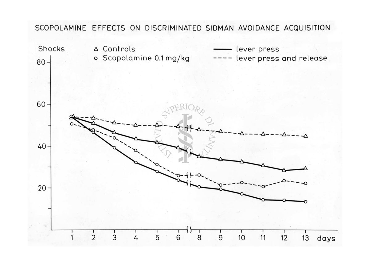 Grafico