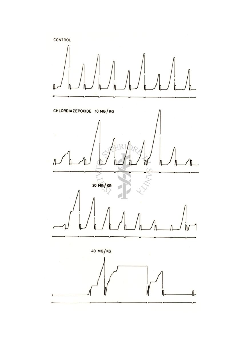 Grafico