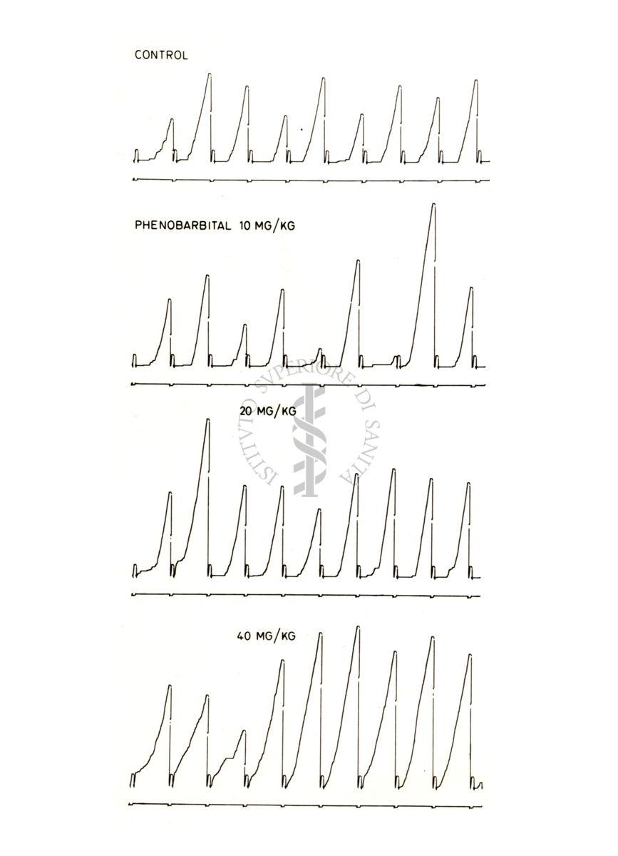 Grafico