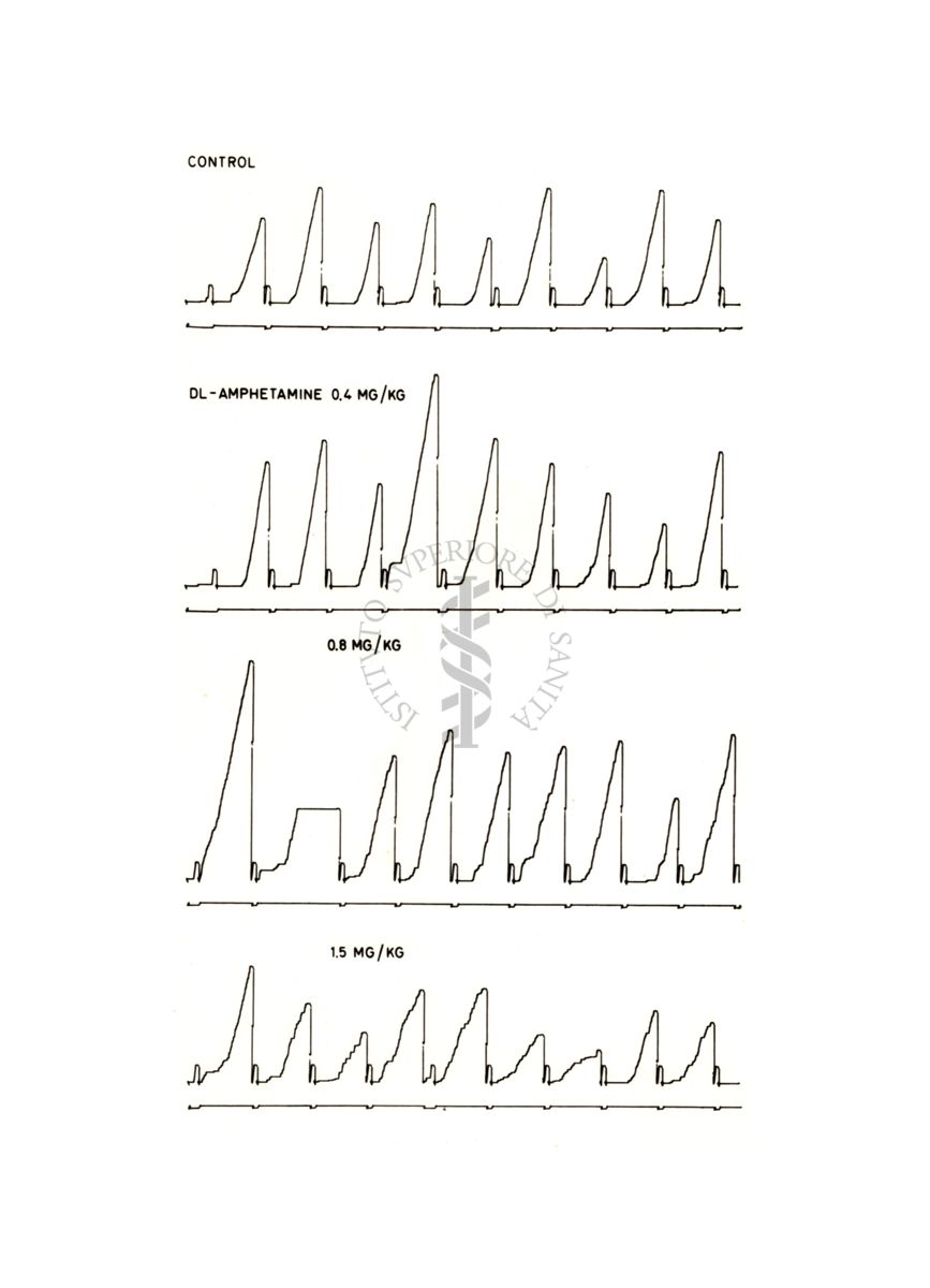 Grafico