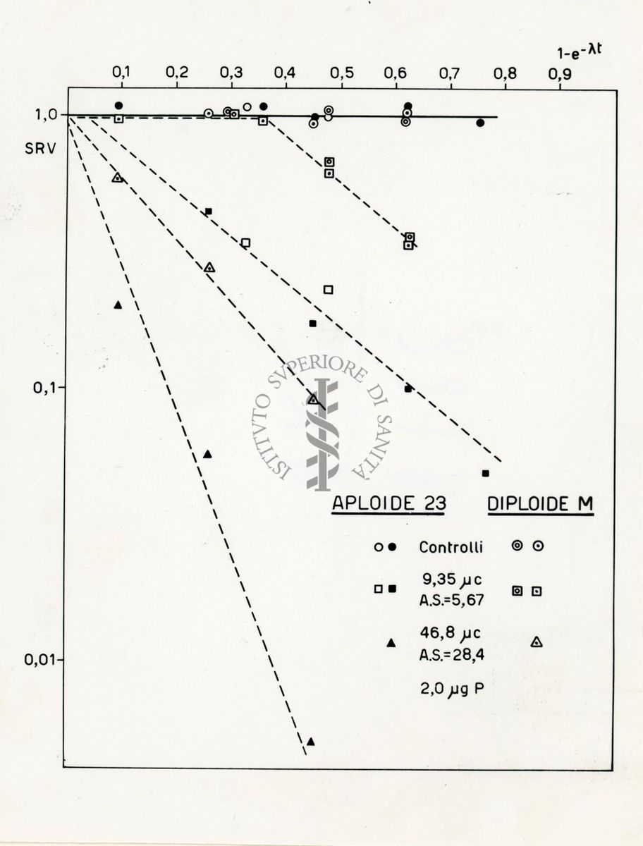 Azione del P32 sull'Aspergillus