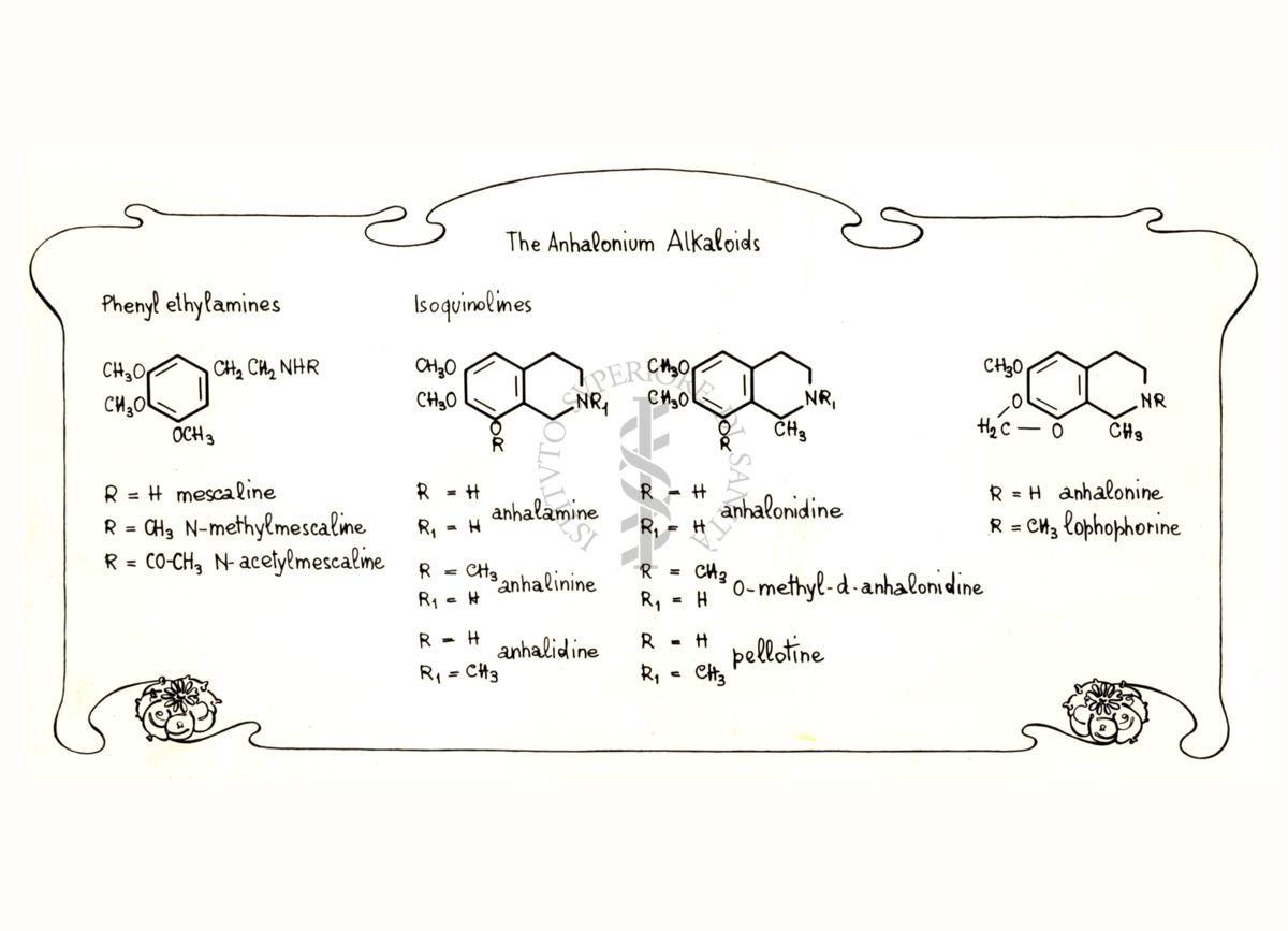 Formula chimica