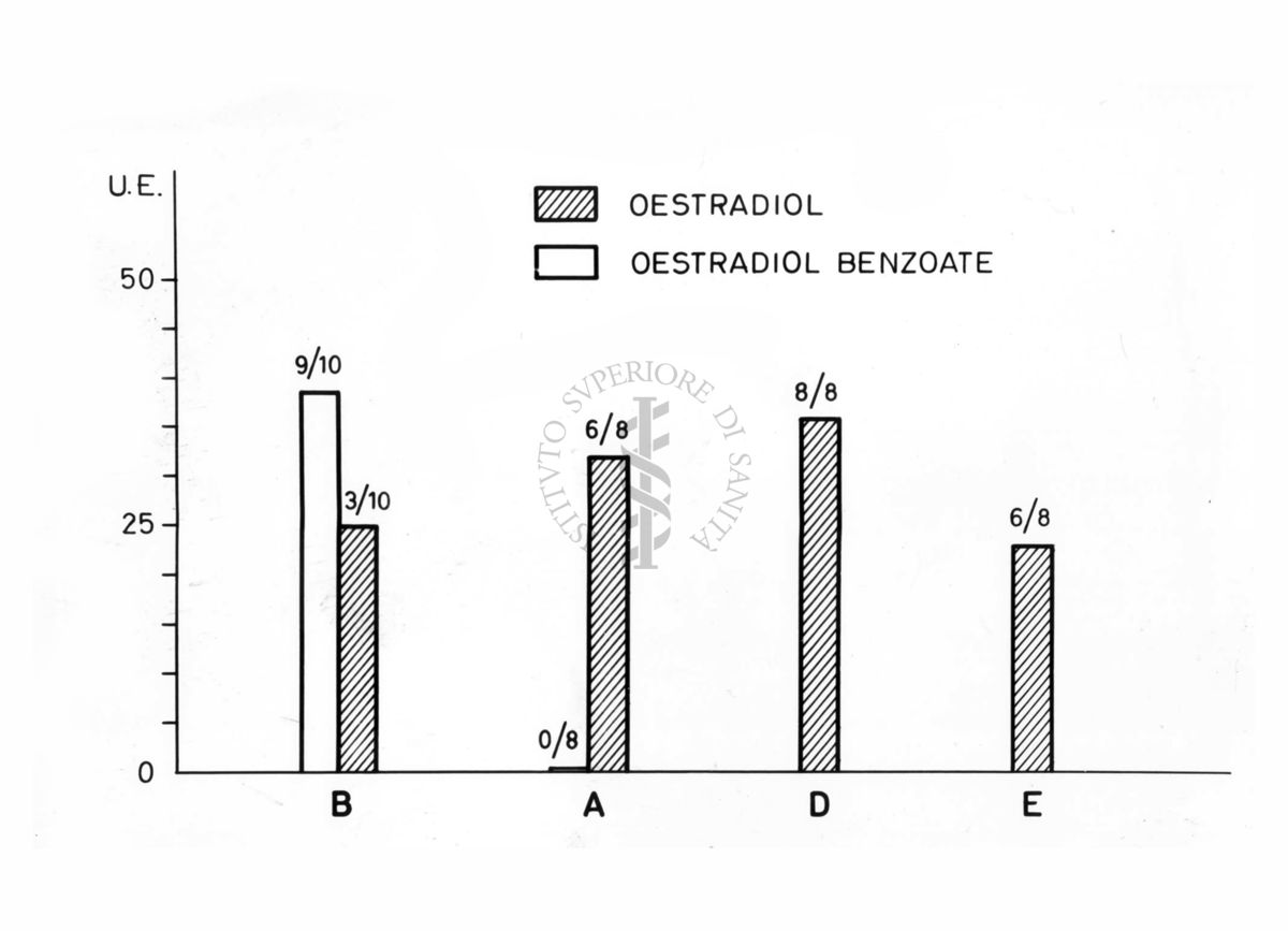 Grafico