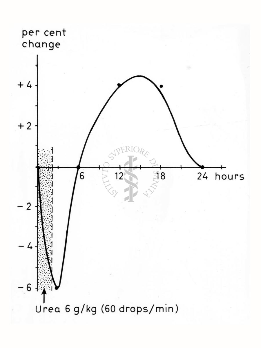 Grafico