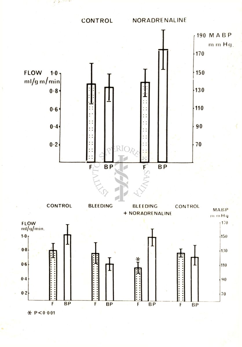 Grafico