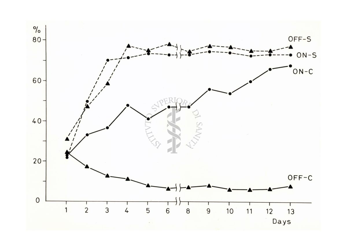 Grafico